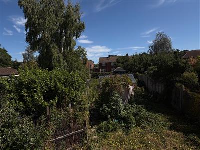 Picture 10